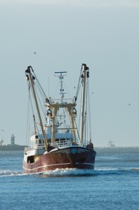 Trawling Fishing Vessel