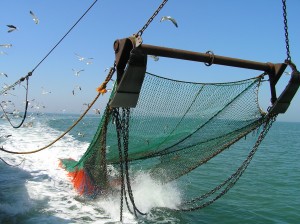 Red de Pesca de Arrastre Trawling Fishing
